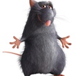 ratatouille 03 - Ratatouille
