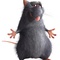 ratatouille 03 - Ratatouille - Ratatouille 