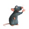 ratatouille 06 - Ratatouille - Ratatouille 
