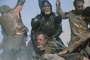 photo du film la planete des singes 2