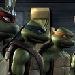 les-4-tortues-jpg
