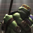 les-tortues-se-battent-jpg