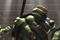 les-tortues-se-battent-jpg