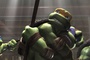 les-tortues-se-battent-jpg