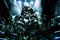 transformers 68 - Transformers