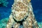Deap Sea 9 - Deep Sea Dansons sous la mer