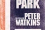 Affiche du film Punishment Park 