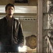freddy rodriguez