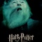 affiche 3 - Harry Potter et le Prince de sang mêlé - Harry Potter et le Prince de sang mêlé 
