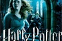 affiche du film harry potter et le prince de sang m  l   hermione lavande et ron