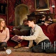 harrypottersangmele 04 - Harry Potter et le Prince de sang mêlé