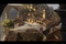 ville de narnia