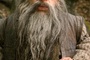 warwick davis