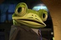une grenouille