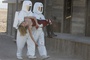 chercheurs emmenant alice