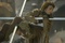 milla jovovich s accrochant