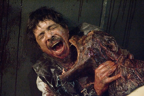 un chien zombie