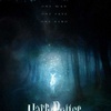 Harry Potter et les reliques de la mort - partie 1 