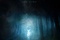 Affiche du film Harry Potter et les reliques de la mort - partie 1 