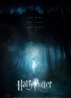 Affiche du film Harry Potter et les reliques de la mort - partie 1 