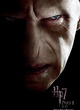 affiche promotionnelle harry potter ralph fiennes
