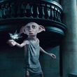 dobby elfe de maison