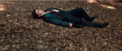 harry a terre