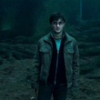 harry potter seul dans les bois