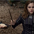 hermione harry et ron a terre