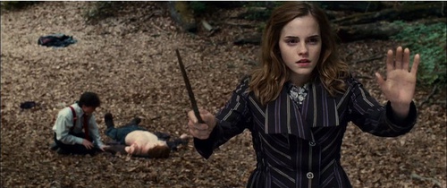 hermione harry et ron a terre