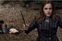 hermione harry et ron a terre