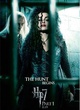 nouvelles affiches hp 7 2