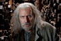 Rade Serbedzija est Gregorovitch