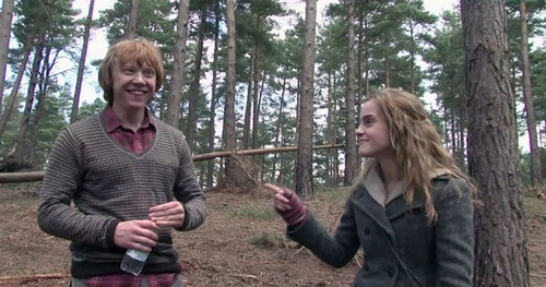rupert grint et emma watson dans la foret