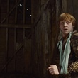 rupert grint se cachant