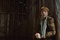 rupert grint se cachant