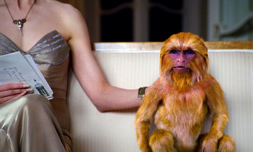 golden monkey