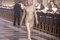 nicole kidman the golden compass