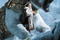 the golden compass poster