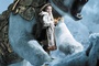 the golden compass poster