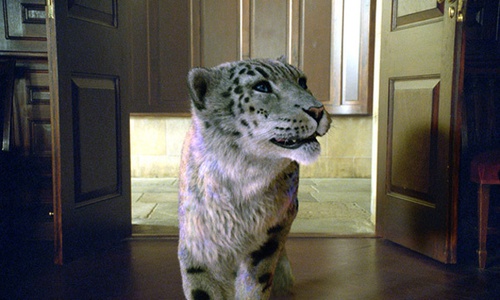 tigre la boussole d or