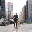 i_am_legend_4 - Je suis une légende