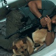will-smith-et-sa-chienne-jpg