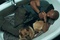 will-smith-et-sa-chienne-jpg