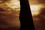 affiche-teaser-jpg