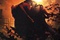 Affiche du film Batman Begins