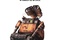 wall e affiche teaser russie 8 - Wall-E