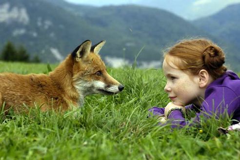 Bertille Noel Bruneau regarde le renard