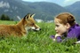 Bertille Noel Bruneau regarde le renard