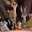 lapin et raton laveur